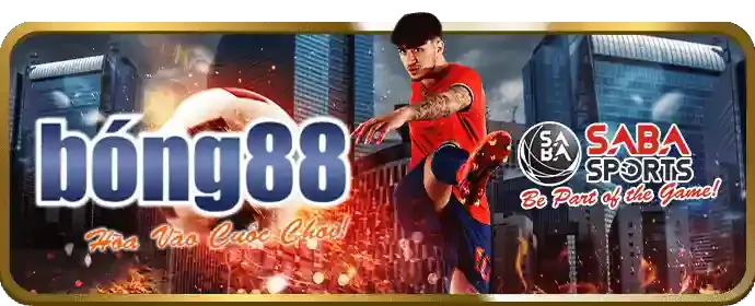 Tổng quan về nền tảng cá cược Saobet nhà cái